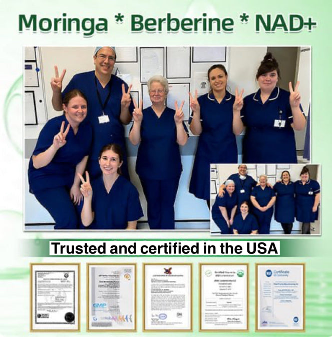 10 in 1 Moringa* Berberinee NAD + Advance Nano Microneedle Patch